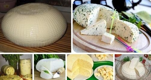 15 рецептов домашнего сыра 15 рецептов домашнего сыра